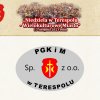 festyn 2023 prezentacja 27